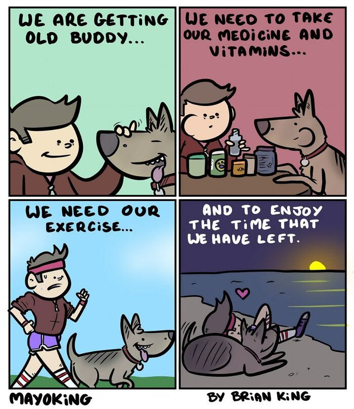 Humorous comic by Brian King featuring a man and dog discussing aging, health, exercise, and enjoying life.