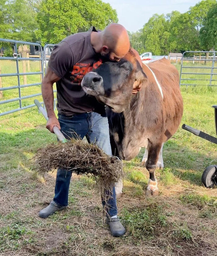This Blind Cow Can&rsquo;t Stop Cuddling With The People Who Rescued Her From A Dairy Farm