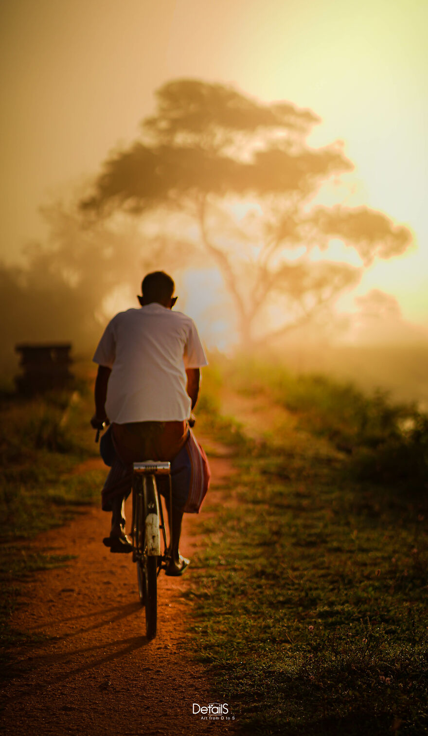 Morning Commute: Cycling To Work Along The Lakeside Road In Anuradhapura, Sri Lanka.