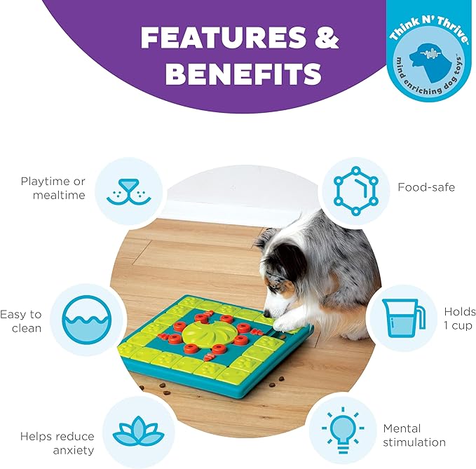 The 20 Best Dog Toys for Boredom (Vet Recommendations)