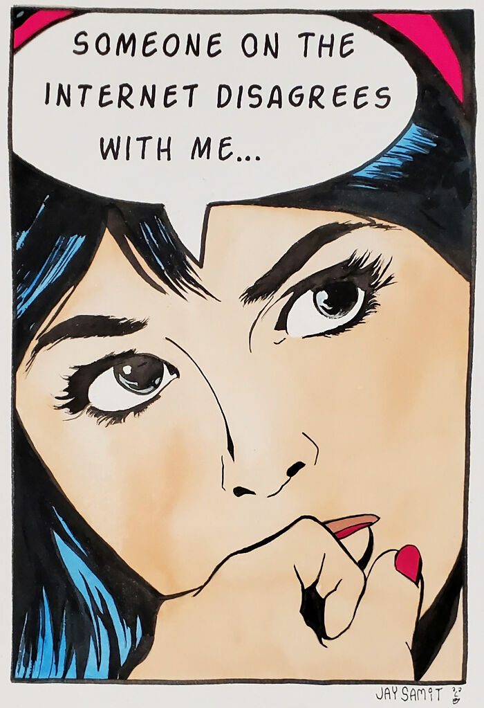 Someone On The Internet Disagrees With Me