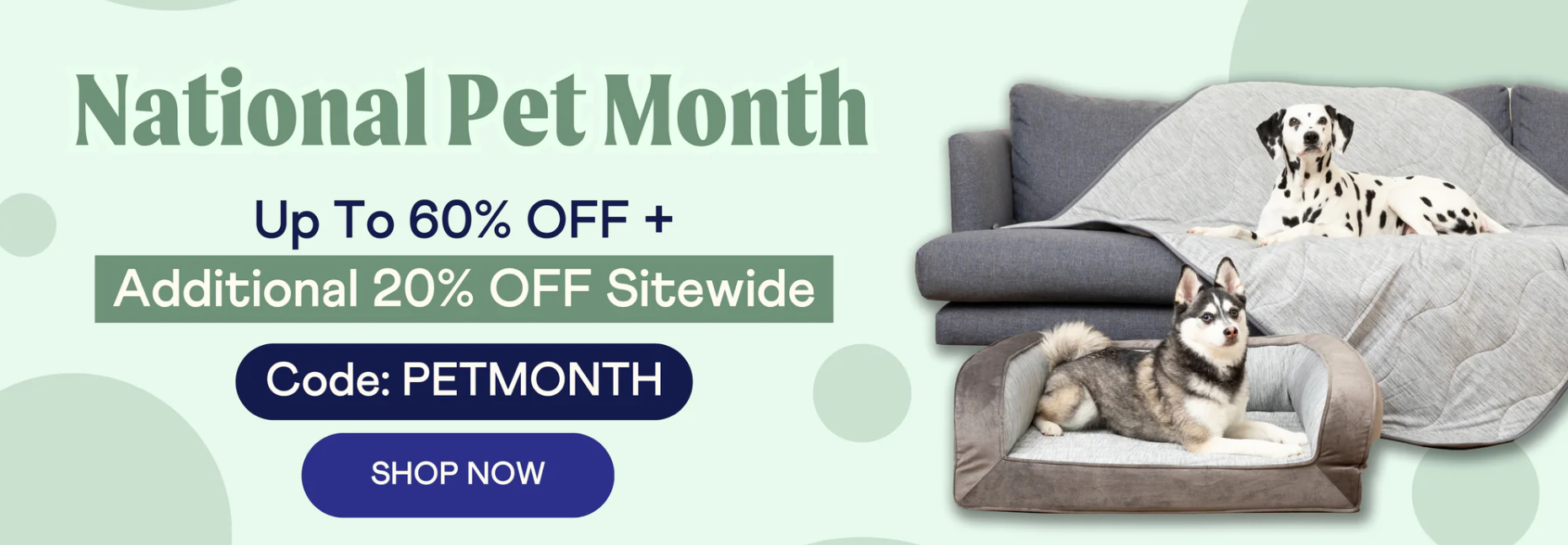 Dogs on a couch and bed during National Pet Month sale promo, highlighting reasons for dog shivering. - 2