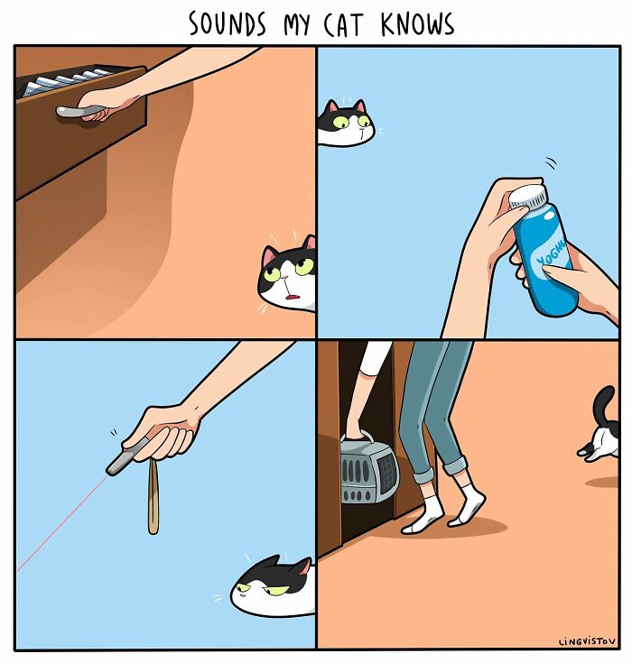 Cat illustration showing a curious cat watching drawer, milk, laser pointer, and carrier in a humorous comic style.