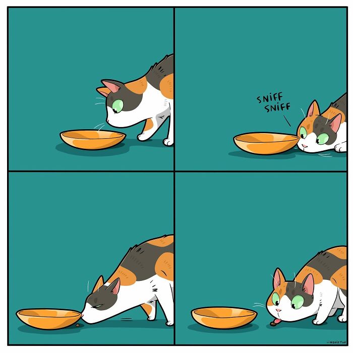Cat illustration showing a curious cat sniffing and tasting from an empty bowl, depicting life with a cat in simple comic style.