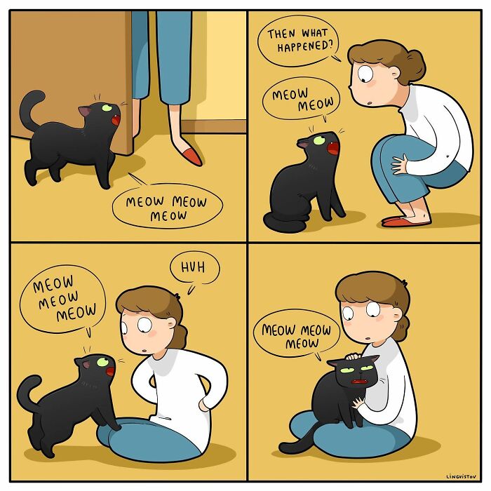 Comic illustration showing what it's like to live with a cat, featuring a person interacting with their black cat.
