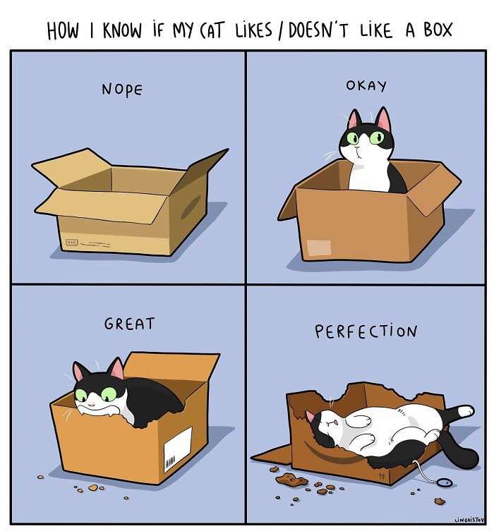 Cartoon illustrating how a cat shows different levels of box approval in a comic about living with a cat.