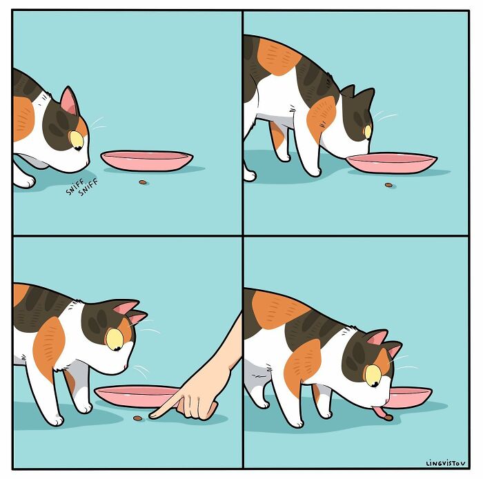 Cat sniffing and hesitating to eat food in a comic panel illustrating what it’s like to live with a cat.