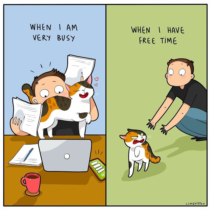 Illustration showing what it's like to live with a cat, with the cat seeking attention when busy and ignoring when free.