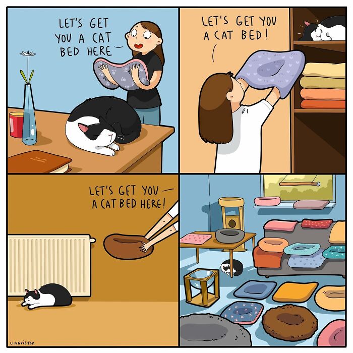 Comic panels illustrating the challenges of living with a cat, featuring multiple cat beds rarely used by the cat.