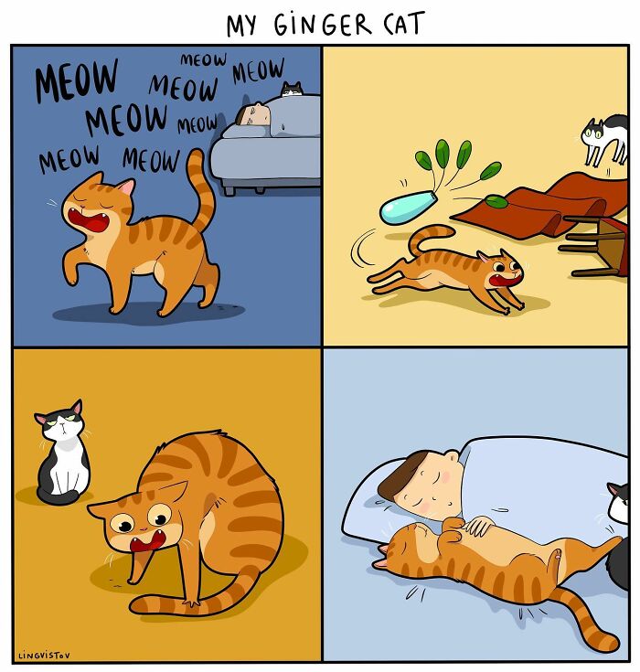Illustration of living with a ginger cat showing playful, noisy, and affectionate cat moments in a comic style.