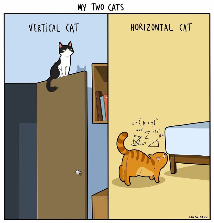 Illustration showing two cats, one sitting vertically on a door and another stretching horizontally near a bed, humorously depicting cat behavior.