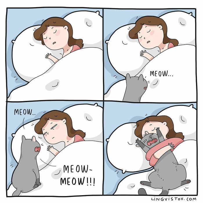 Comic illustrating what it’s like to live with a cat, showing a cat meowing loudly to wake a woman in bed.