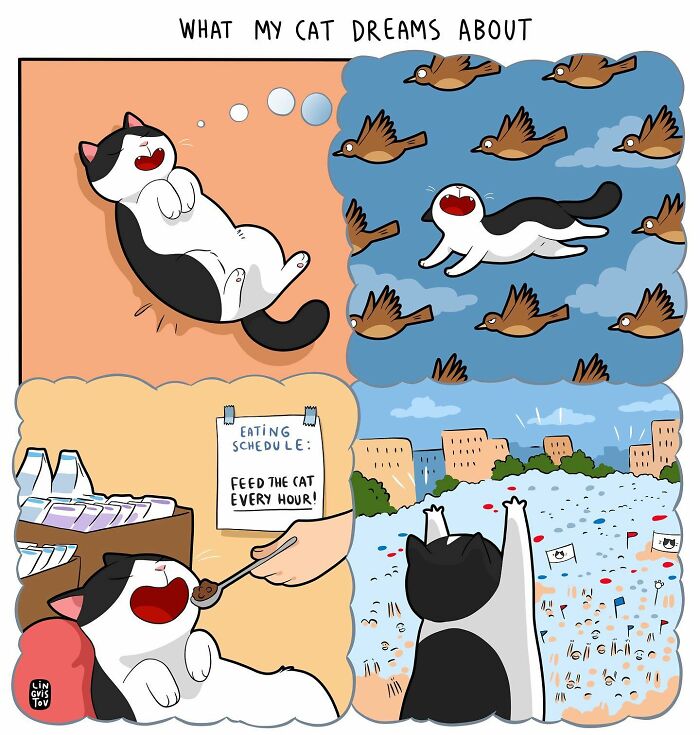 Illustration showing what it's like to live with a cat, featuring a cat dreaming and being fed every hour.