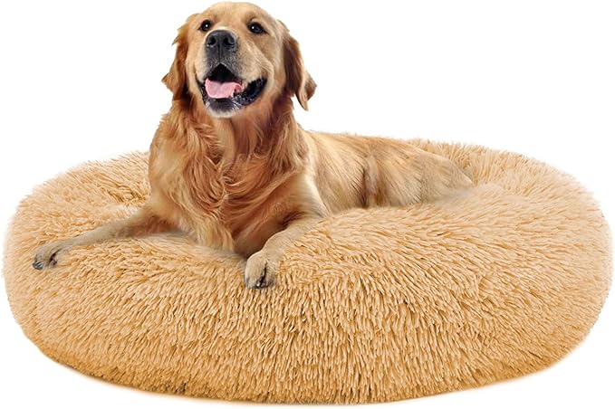 Golden retriever lying on a fluffy dog bed, representing Black Friday deals for 2023. Golden retriever lying on a fluffy dog bed, representing Black Friday deals for 2023.