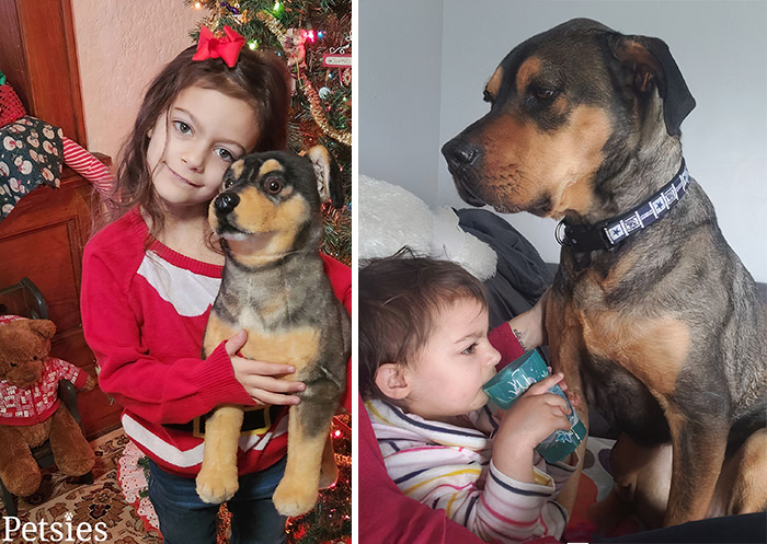 Owners Who Lost Their Pets Receive A Stuffed Clone Of Their Pet (52 New Pics)