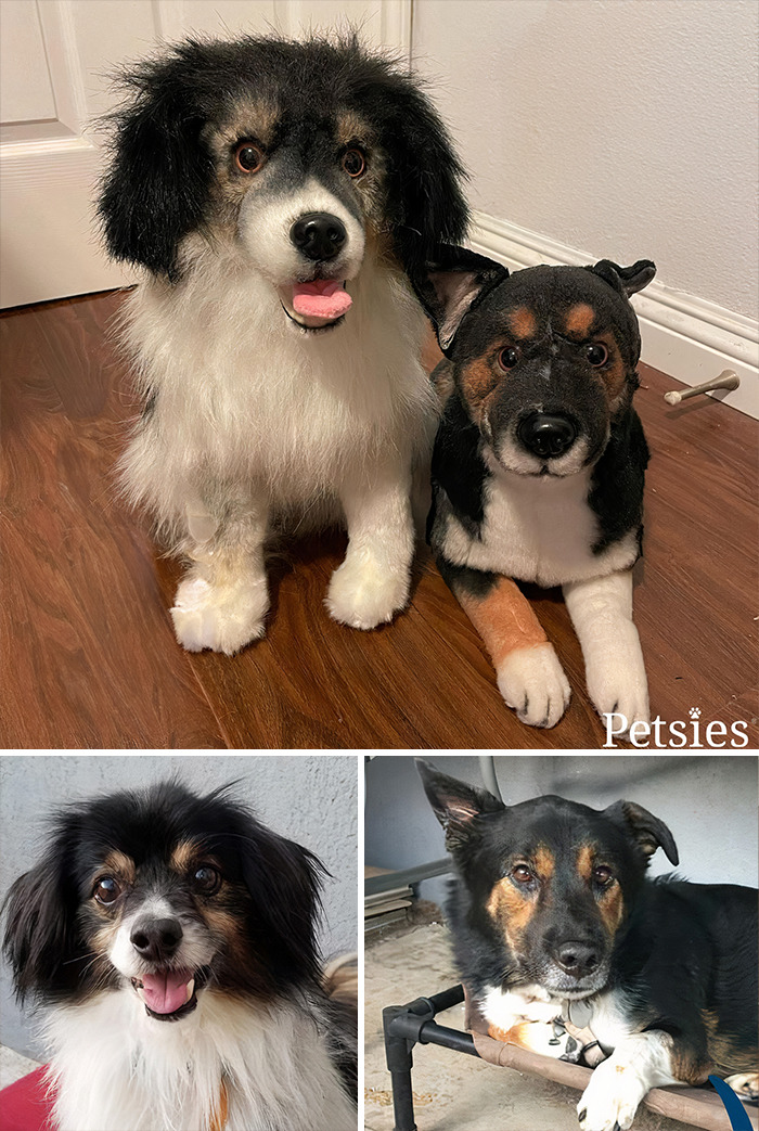 Owners Who Lost Their Pets Receive A Stuffed Clone Of Their Pet (52 New Pics)