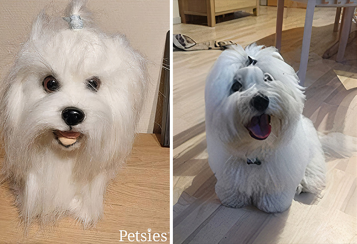 Owners Who Lost Their Pets Receive A Stuffed Clone Of Their Pet (52 New Pics)