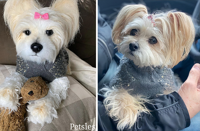 Owners Who Lost Their Pets Receive A Stuffed Clone Of Their Pet (52 New Pics)