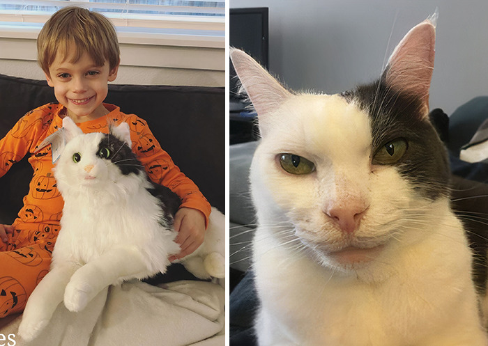 Owners Who Lost Their Pets Receive A Stuffed Clone Of Their Pet (52 New Pics)