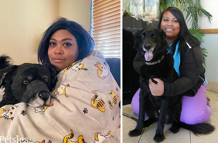 Owners Who Lost Their Pets Receive A Stuffed Clone Of Their Pet (52 New Pics)