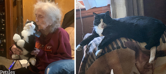 Owners Who Lost Their Pets Receive A Stuffed Clone Of Their Pet (52 New Pics)