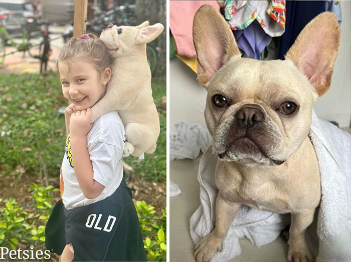 Owners Who Lost Their Pets Receive A Stuffed Clone Of Their Pet (52 New Pics)