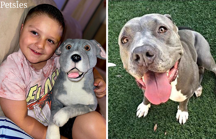 Owners Who Lost Their Pets Receive A Stuffed Clone Of Their Pet (52 New Pics)