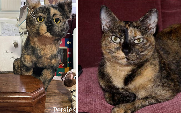 Owners Who Lost Their Pets Receive A Stuffed Clone Of Their Pet (52 New Pics)