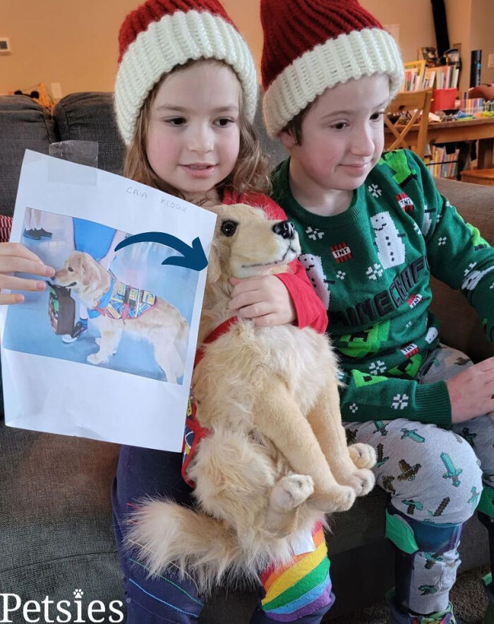 Owners Who Lost Their Pets Receive A Stuffed Clone Of Their Pet (52 New Pics)