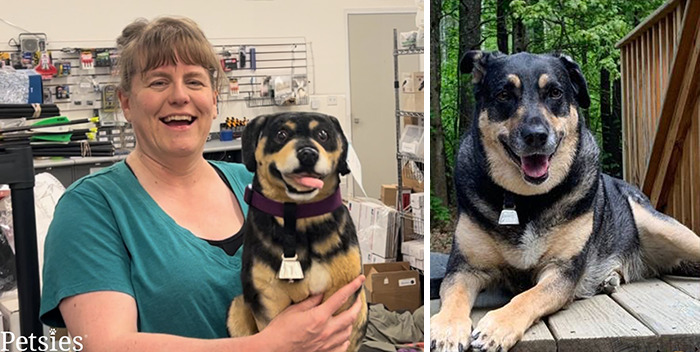 Owners Who Lost Their Pets Receive A Stuffed Clone Of Their Pet (52 New Pics)