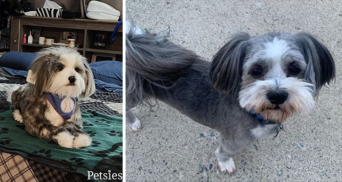Owners Who Lost Their Pets Receive A Stuffed Clone Of Their Pet (52 New Pics)