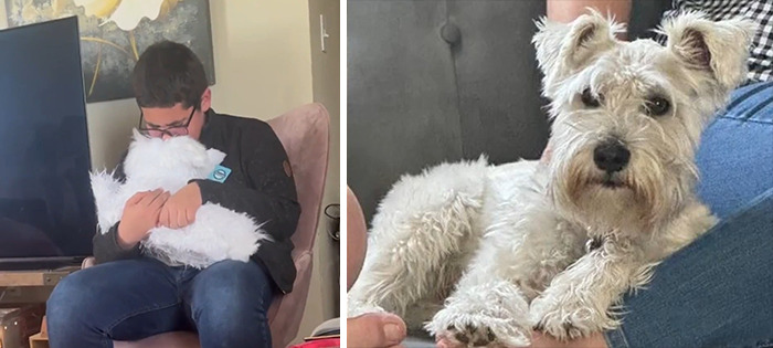 Owners Who Lost Their Pets Receive A Stuffed Clone Of Their Pet (52 New Pics)