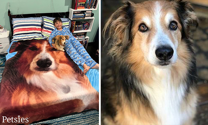 Owners Who Lost Their Pets Receive A Stuffed Clone Of Their Pet (52 New Pics)
