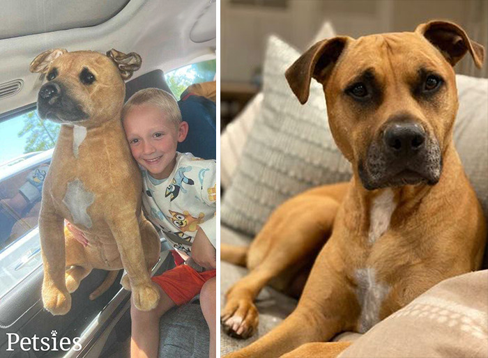Owners Who Lost Their Pets Receive A Stuffed Clone Of Their Pet (52 New Pics)