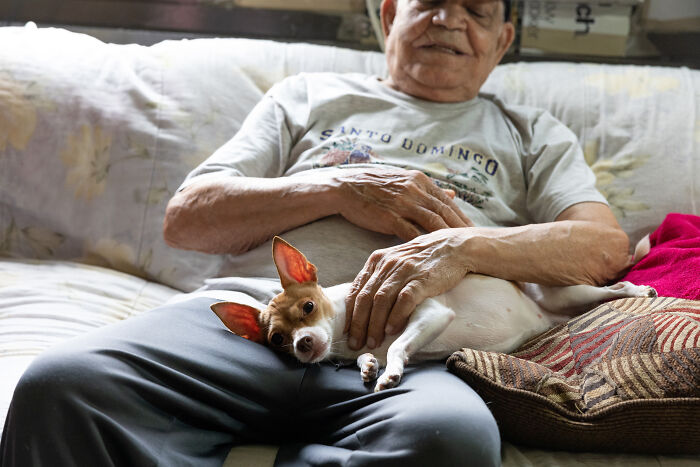 Volunteers Of Paws NY Help These People To Take Care Of Their Pets So That They Won&rsquo;t Get Separated