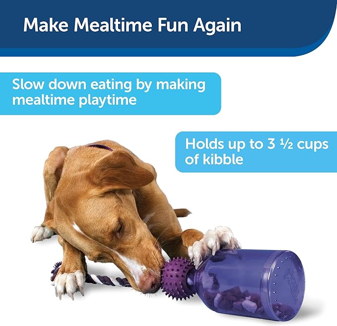 The 20 Best Dog Toys for Boredom (Vet Recommendations)