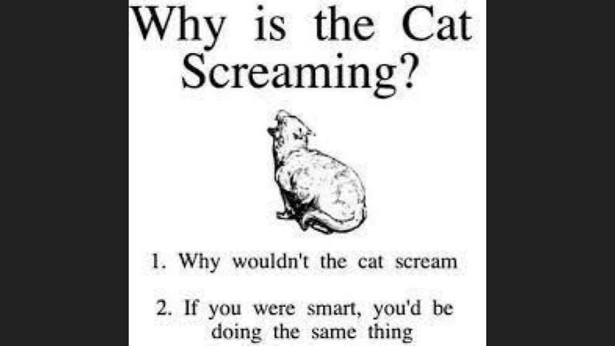 36 Random Memes That Are Slightly Relatable