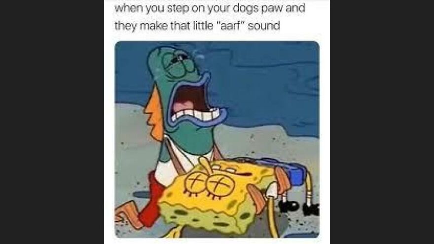 36 Random Memes That Are Slightly Relatable