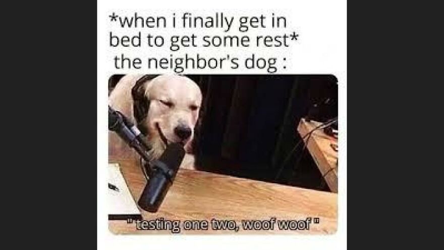 36 Random Memes That Are Slightly Relatable