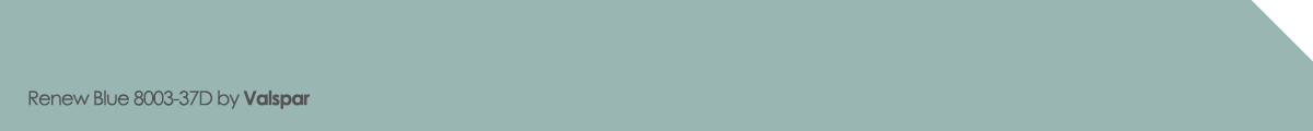 Renew Blue 8003-37D paint color by Valspar
