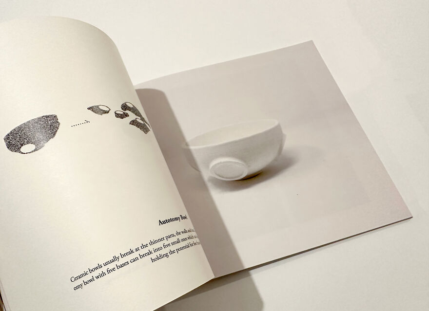 Embracing The New Paradigm: My Journey In Pioneering Repairing Society For A Sustainable Future