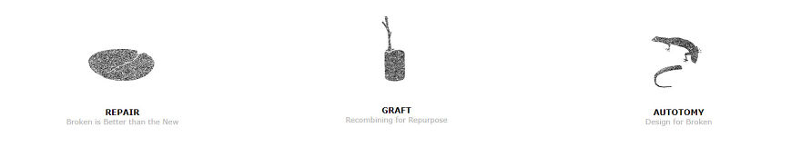 Embracing The New Paradigm: My Journey In Pioneering Repairing Society For A Sustainable Future