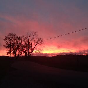 nicholaskelley avatar