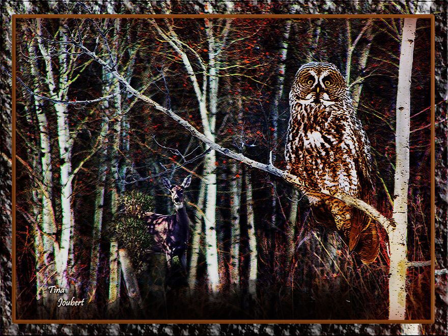 I Make Road Trip-Inspired Blankets (40 Pics)