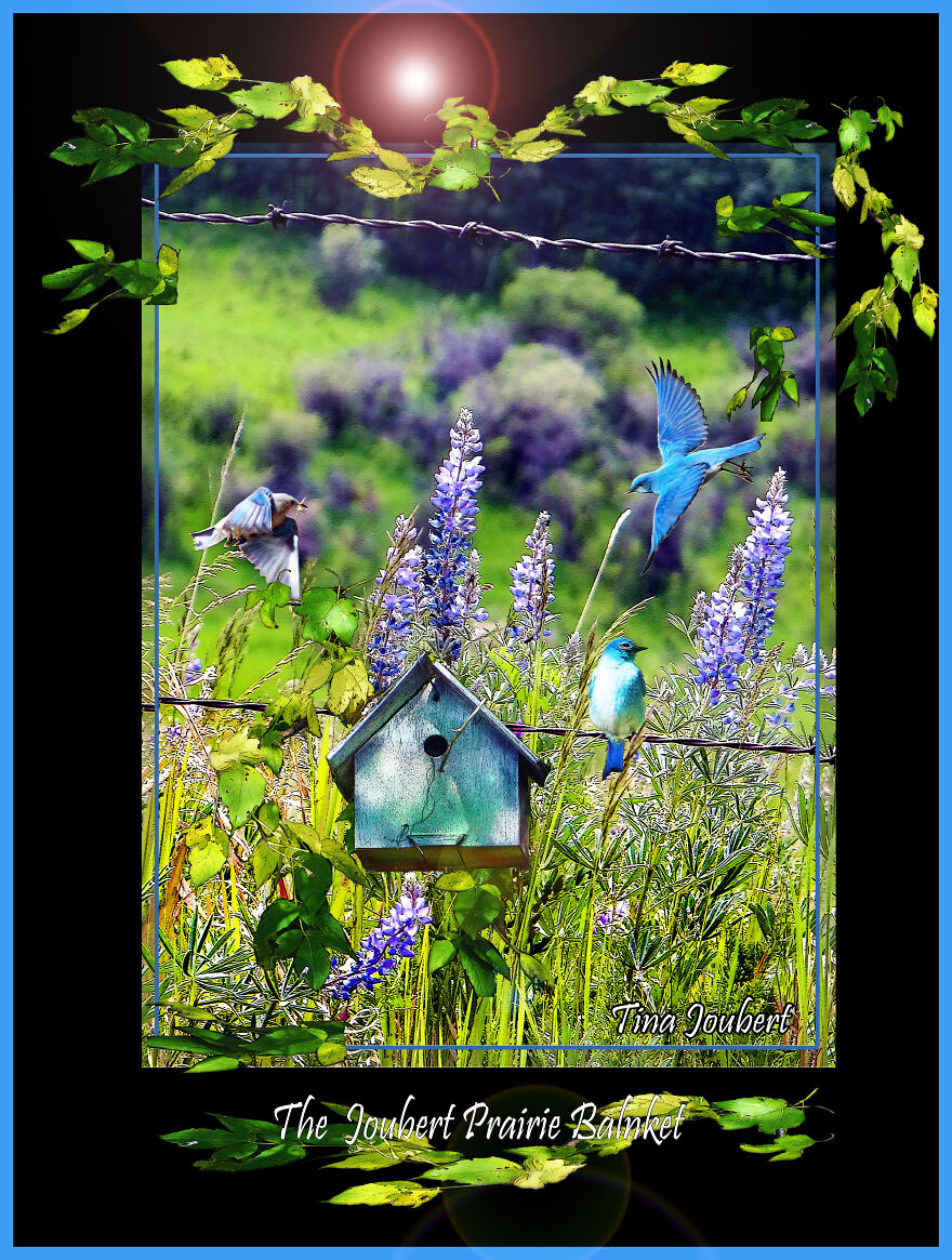 I Make Road Trip-Inspired Blankets (40 Pics)