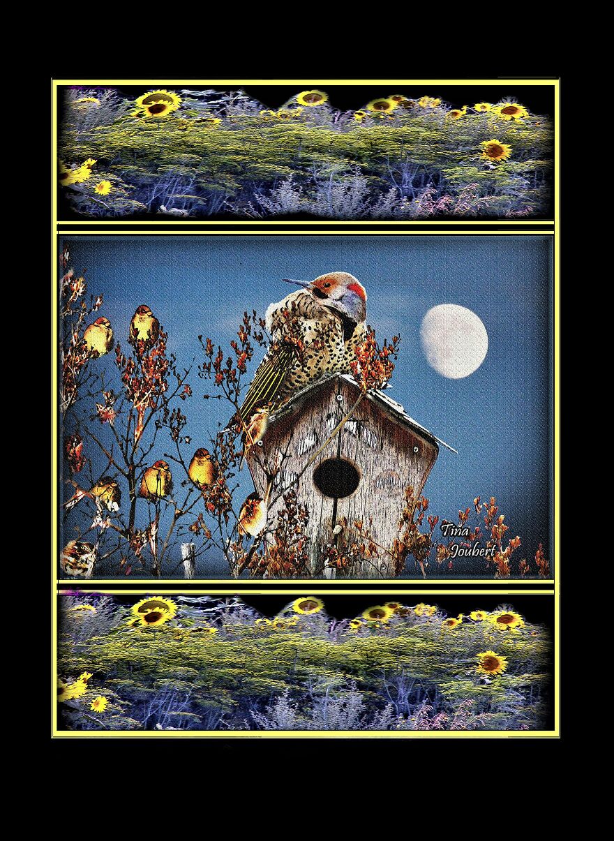 I Make Road Trip-Inspired Blankets (40 Pics)