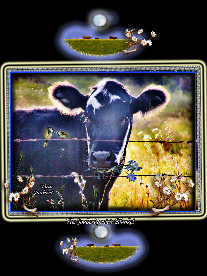 I Make Road Trip-Inspired Blankets (40 Pics)