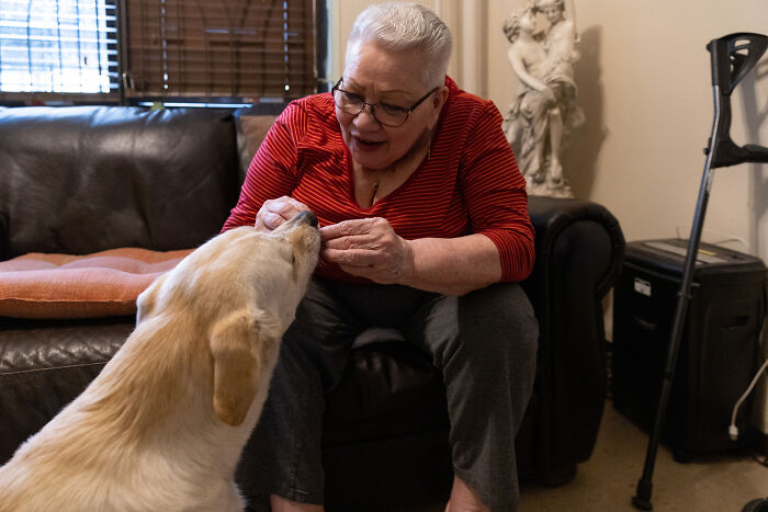 Volunteers Of Paws NY Help These People To Take Care Of Their Pets So That They Won&rsquo;t Get Separated