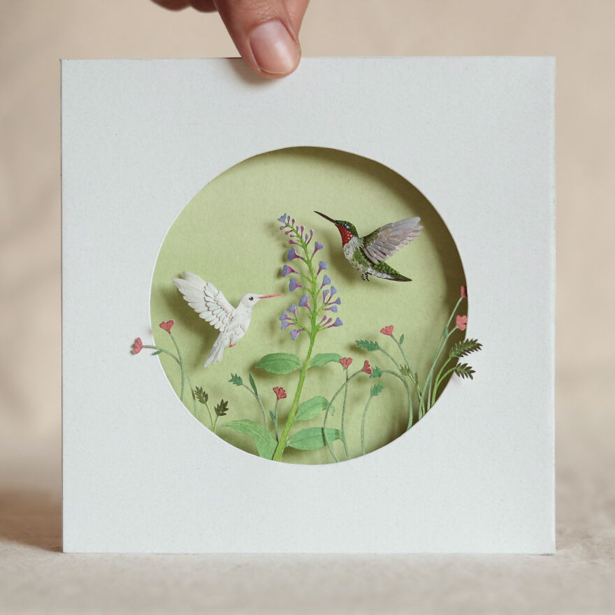 Ruby Throated Hummingbird