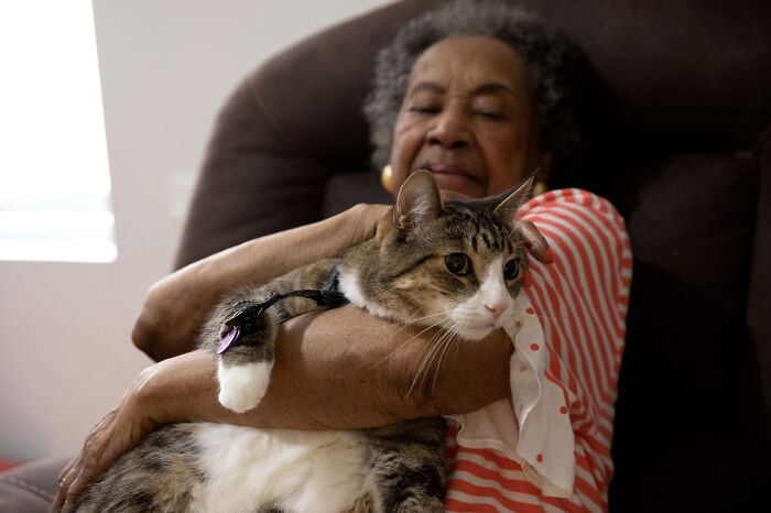 Volunteers Of Paws NY Help These People To Take Care Of Their Pets So That They Won&rsquo;t Get Separated